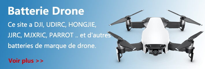 Batterie Drone