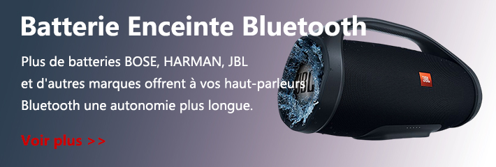 Batterie Enceinte Bluetooth